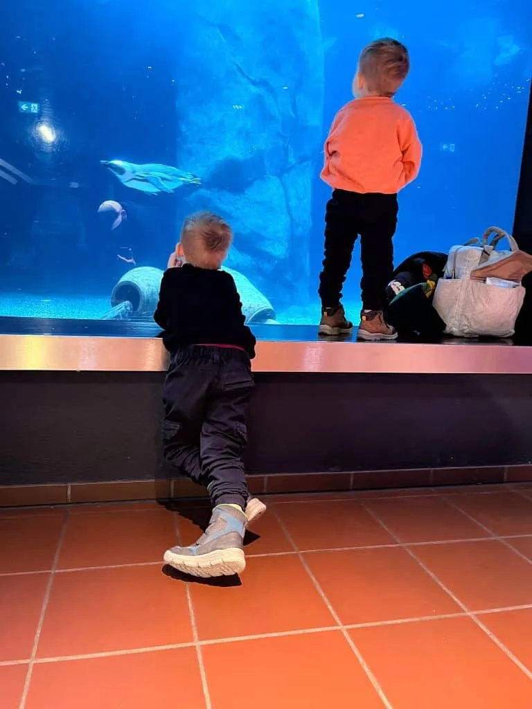 Kind beobachtet einen Pinguin
