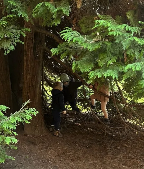 Kinder spielen unter einem großen Nadelbaum im Wald