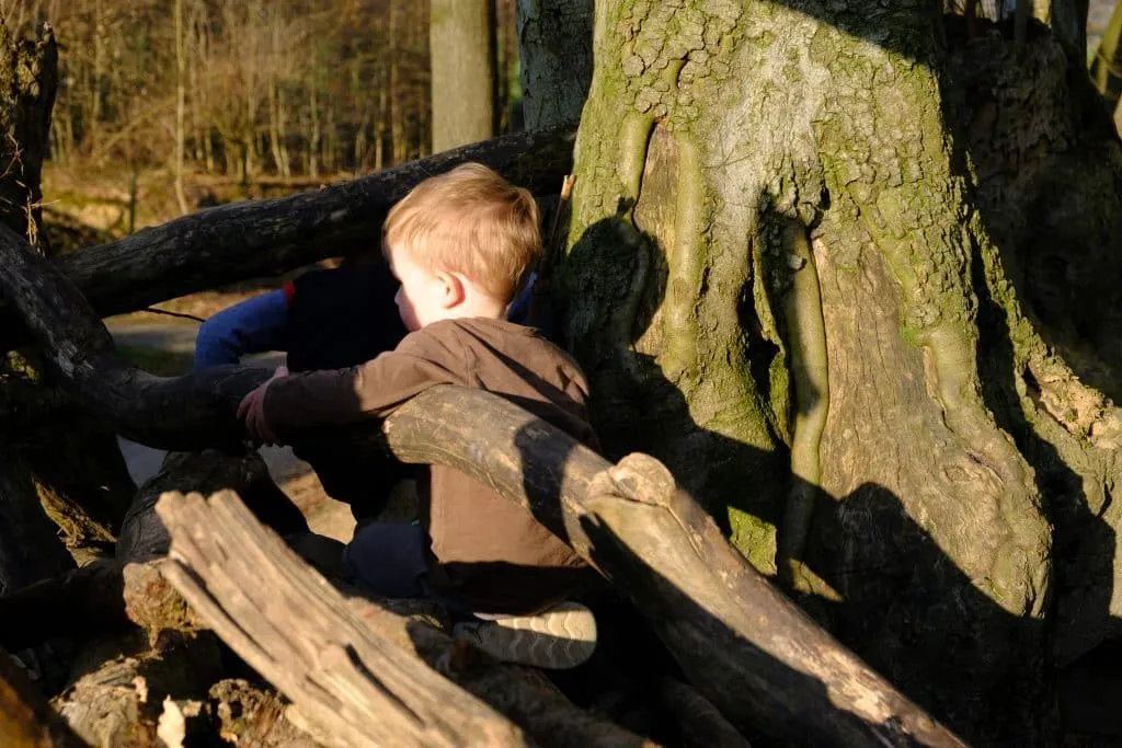 Kinder balancieren auf einem umgestürzten Baumstamm