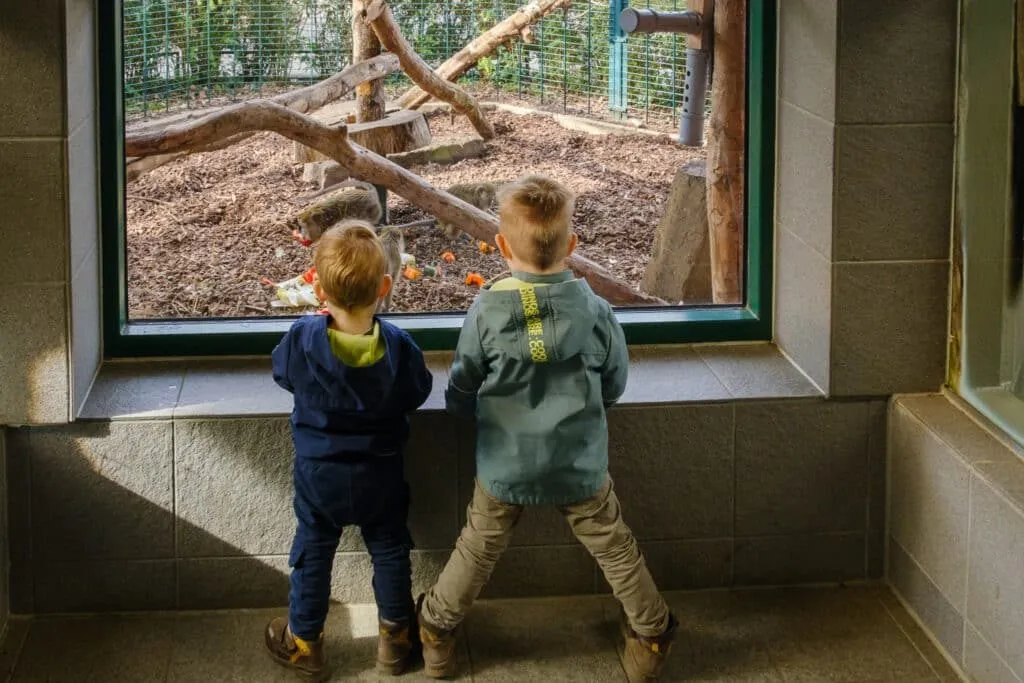 Zwei Kinder vor der Glasscheibe im Tierhaus